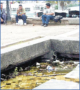 Imagen foto
