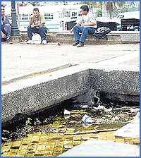 Imagen foto