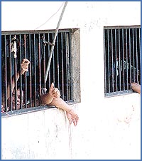 Imagen foto