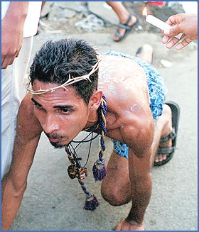 Imagen foto