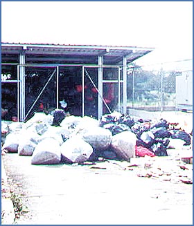 Imagen foto