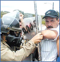 Imagen foto