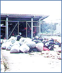Imagen foto
