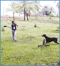 Imagen foto