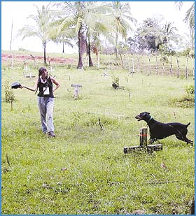 Imagen foto