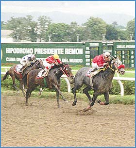 Imagen foto