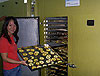 haga click para ampliar la imagen