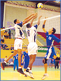 Imagen foto