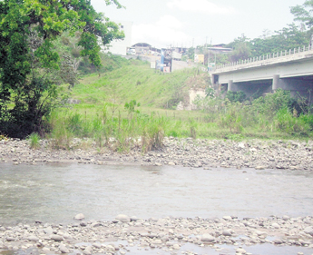 haga click para ampliar la imagen