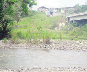 haga click para ampliar la imagen