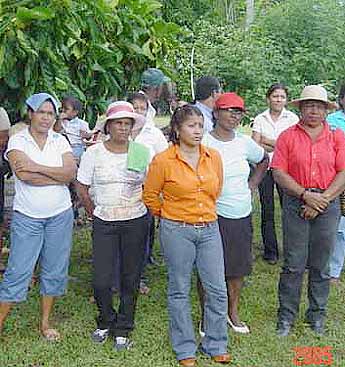 Imagen foto