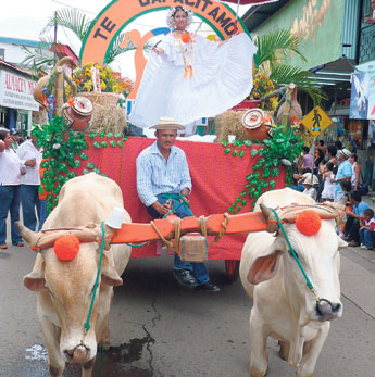 haga click para ampliar la imagen