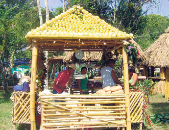 haga click para ampliar la imagen