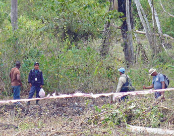 haga click para ampliar la imagen