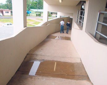 haga click para ampliar la imagen