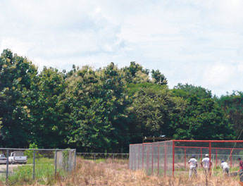 haga click para ampliar la imagen