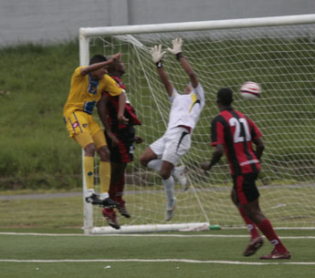 haga click para ampliar la imagen