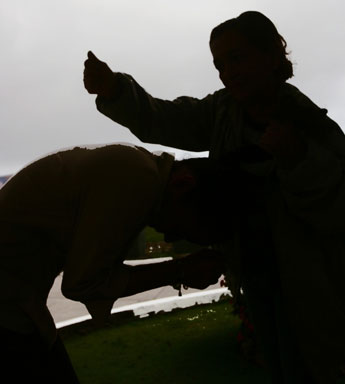 haga click para ampliar la imagen