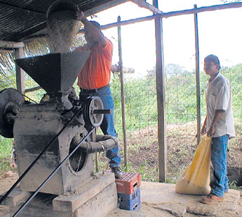 haga click para ampliar la imagen