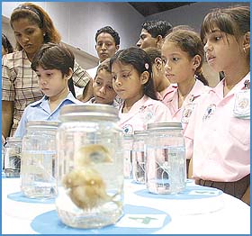 Imagen foto