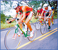 Imagen foto