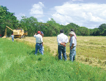 haga click para ampliar la imagen