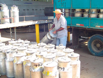 haga click para ampliar la imagen