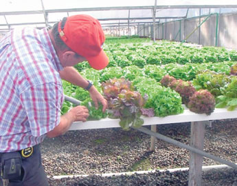 haga click para ampliar la imagen