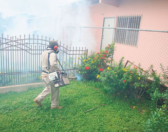 haga click para ampliar la imagen