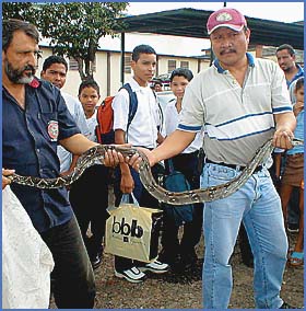 Imagen foto