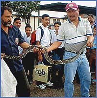 Imagen foto