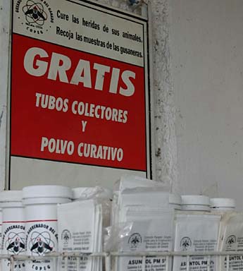Imagen foto