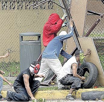 Imagen foto