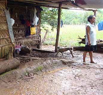 haga click para ampliar la imagen