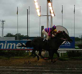 haga click para ampliar la imagen