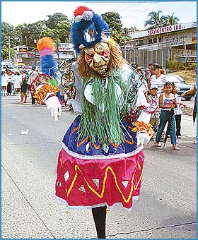 Imagen foto