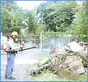 Imagen foto