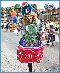 Imagen foto