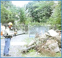 Imagen foto
