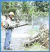 Imagen foto