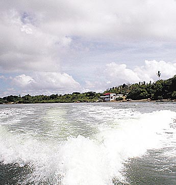 Imagen foto