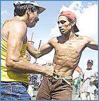 Imagen foto