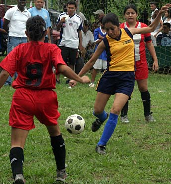 Imagen foto