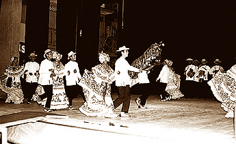 Imagen foto