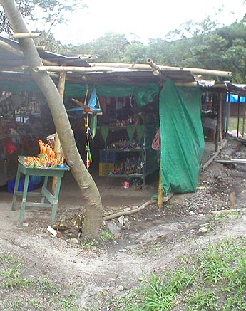 Imagen foto