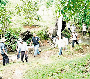 haga click para ampliar la imagen