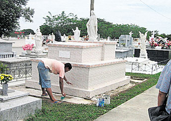 haga click para ampliar la imagen