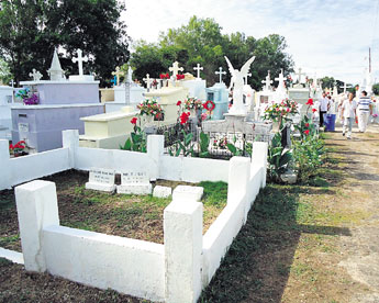 haga click para ampliar la imagen