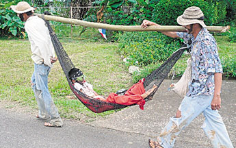 haga click para ampliar la imagen