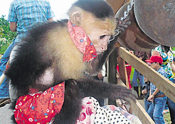 haga click para ampliar la imagen